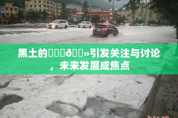 黑土的❌‌‌🐻引发关注与讨论，未来发展成焦点