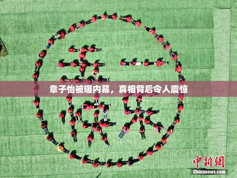 章子怡被曝内幕，真相背后令人震惊