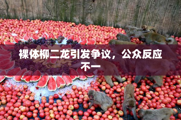 裸体柳二龙引发争议，公众反应不一