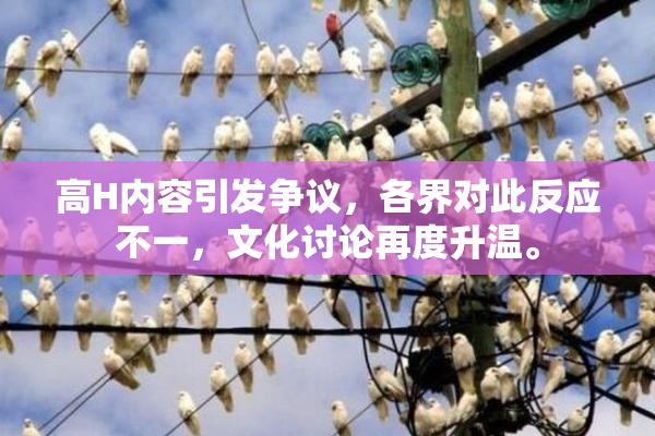 高H内容引发争议，各界对此反应不一，文化讨论再度升温。