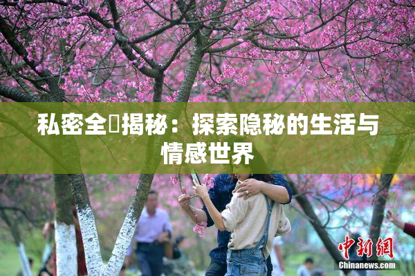 私密全婐揭秘：探索隐秘的生活与情感世界
