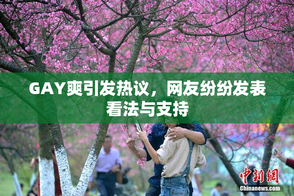 GAY爽引发热议，网友纷纷发表看法与支持