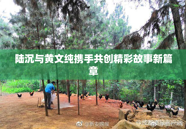 陆沉与黄文纯携手共创精彩故事新篇章
