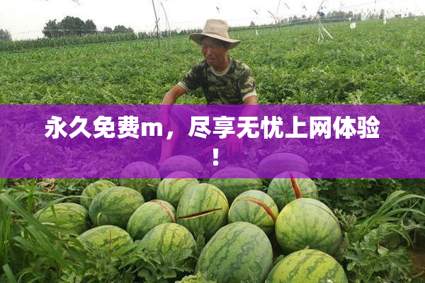 永久免费m，尽享无忧上网体验！