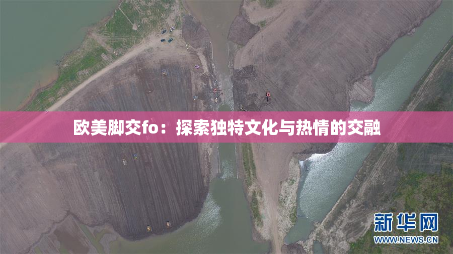 欧美脚交fo：探索独特文化与热情的交融