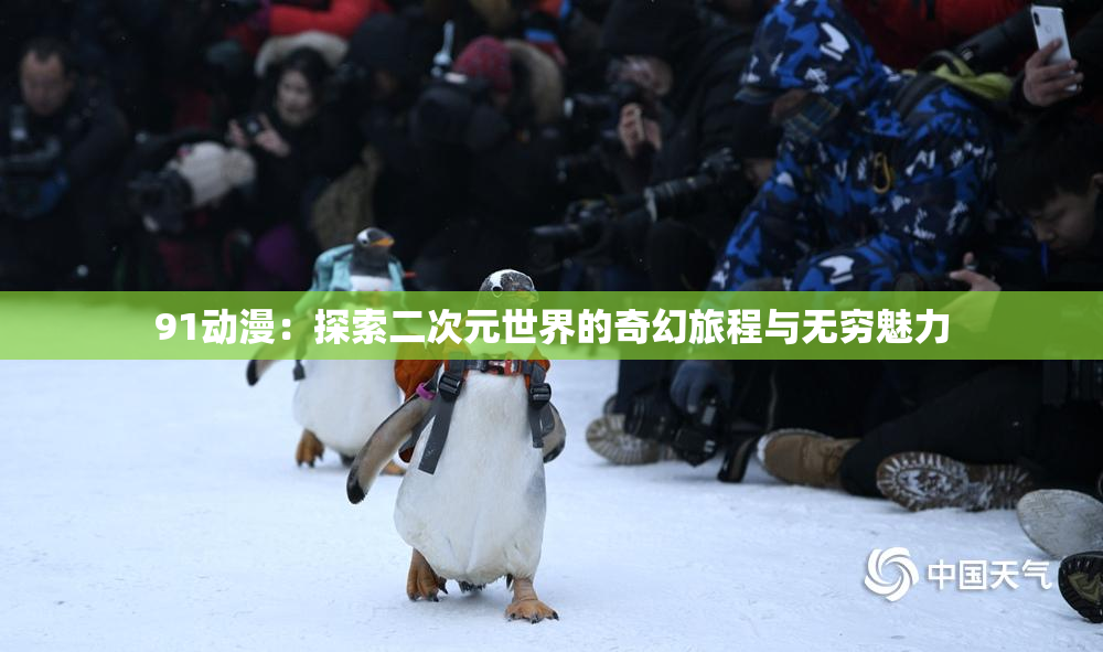 91动漫：探索二次元世界的奇幻旅程与无穷魅力