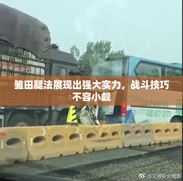 雏田腿法展现出强大实力，战斗技巧不容小觑