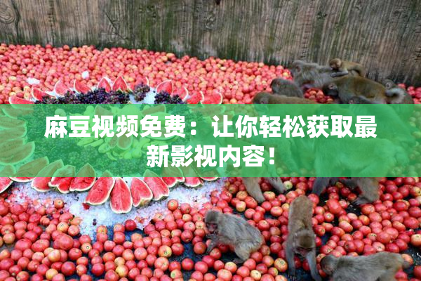 麻豆视频免费：让你轻松获取最新影视内容！