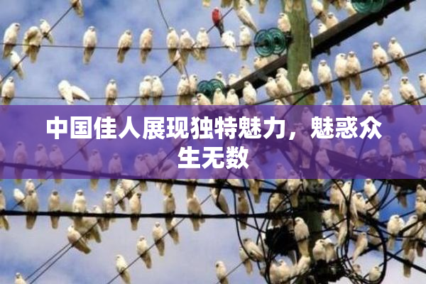 中国佳人展现独特魅力，魅惑众生无数