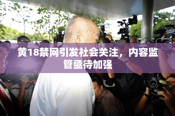 黄18禁网引发社会关注，内容监管亟待加强