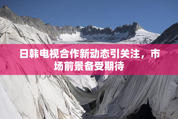 日韩电视合作新动态引关注，市场前景备受期待