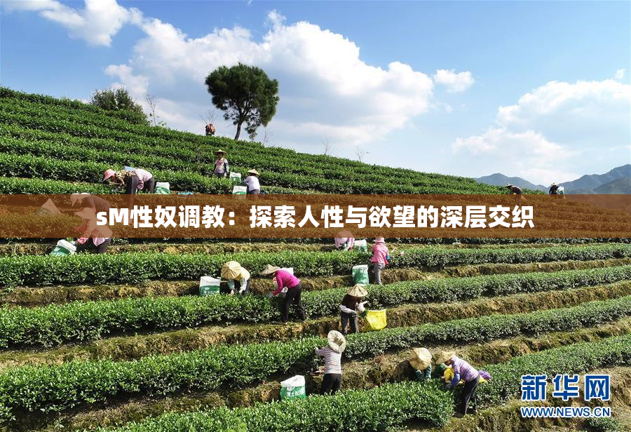 sM性奴调教：探索人性与欲望的深层交织