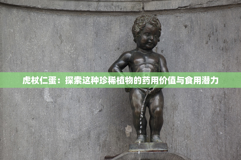 虎杖仁蛋：探索这种珍稀植物的药用价值与食用潜力