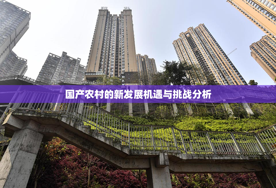 国产农村的新发展机遇与挑战分析