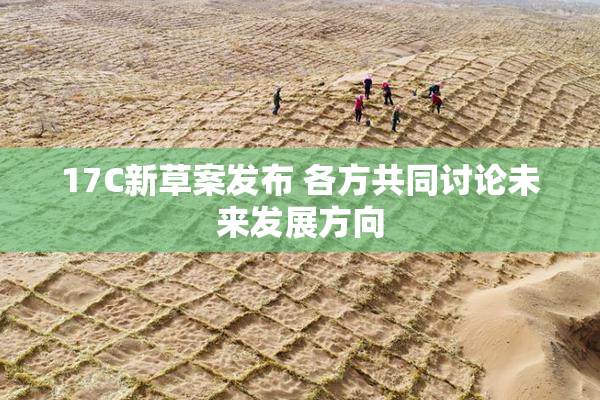 17C新草案发布 各方共同讨论未来发展方向