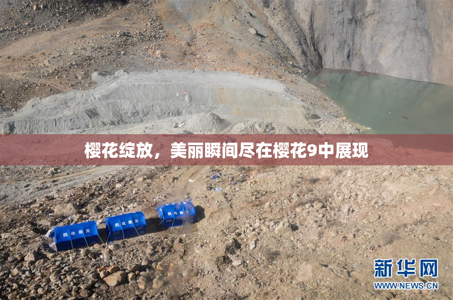 樱花绽放，美丽瞬间尽在樱花9中展现