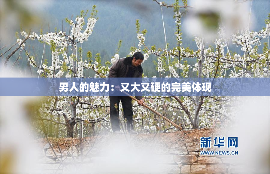 男人的魅力：又大又硬的完美体现