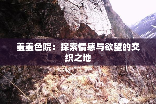 羞羞色院：探索情感与欲望的交织之地