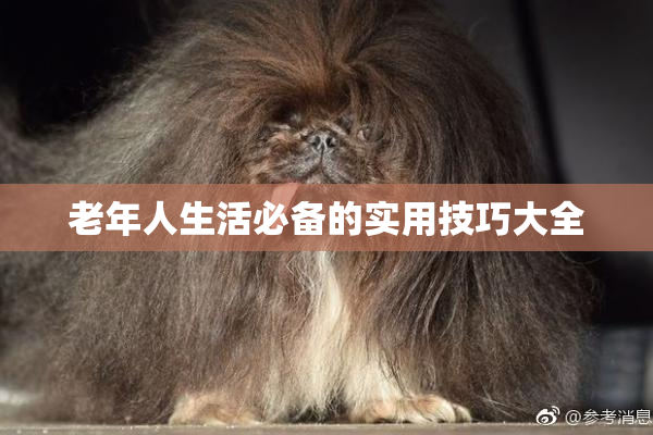 老年人生活必备的实用技巧大全