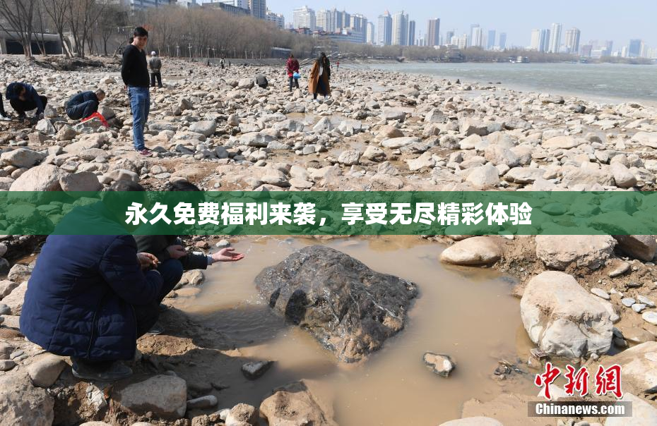 永久免费福利来袭，享受无尽精彩体验