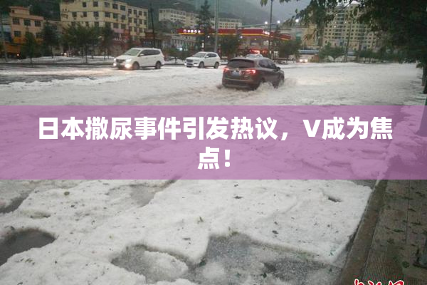 日本撒尿事件引发热议，V成为焦点！