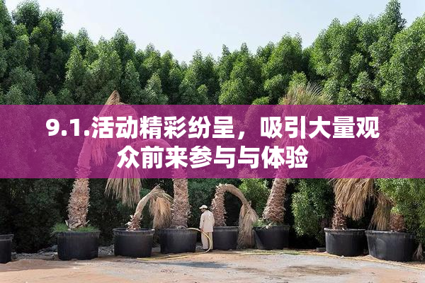 9.1.活动精彩纷呈，吸引大量观众前来参与与体验