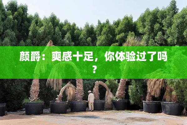 颜爵：爽感十足，你体验过了吗？