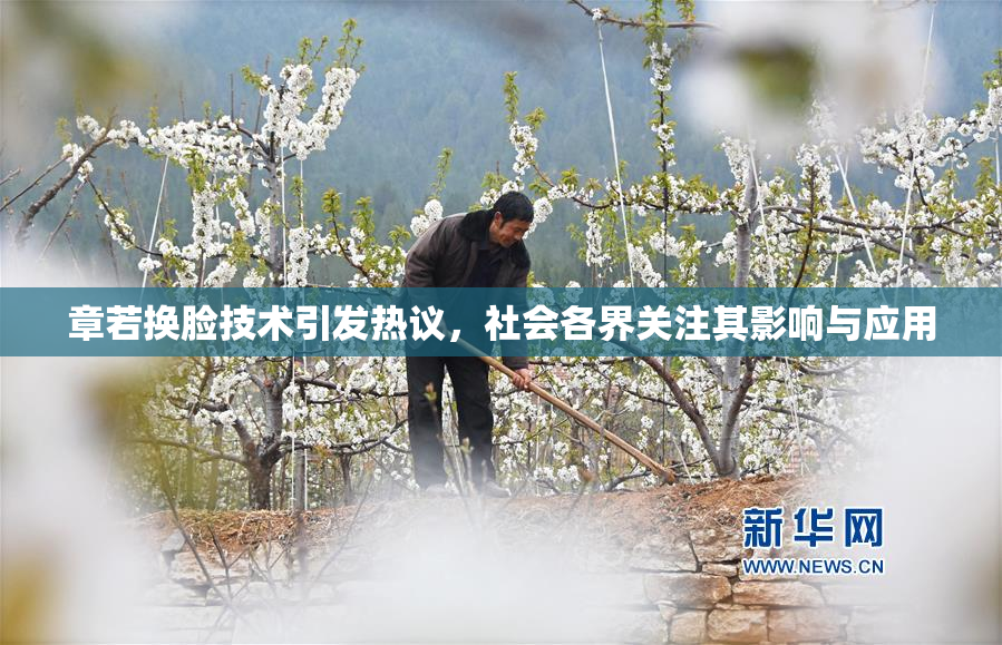 章若换脸技术引发热议，社会各界关注其影响与应用