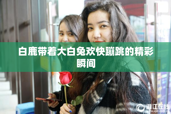 白鹿带着大白兔欢快蹦跳的精彩瞬间