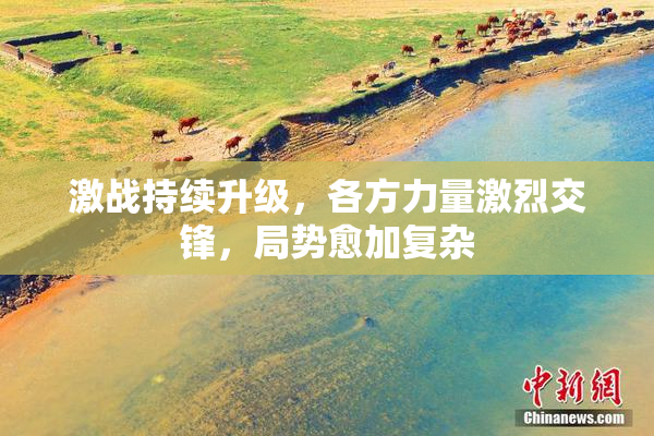 激战持续升级，各方力量激烈交锋，局势愈加复杂