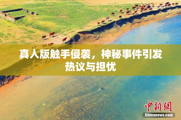 真人版触手侵袭，神秘事件引发热议与担忧
