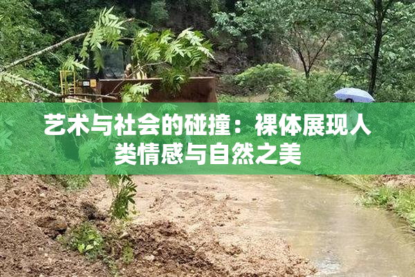 艺术与社会的碰撞：裸体展现人类情感与自然之美