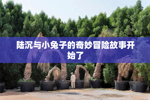 陆沉与小兔子的奇妙冒险故事开始了