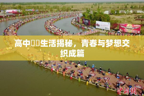高中妺妺生活揭秘，青春与梦想交织成篇
