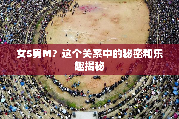 女S男M？这个关系中的秘密和乐趣揭秘