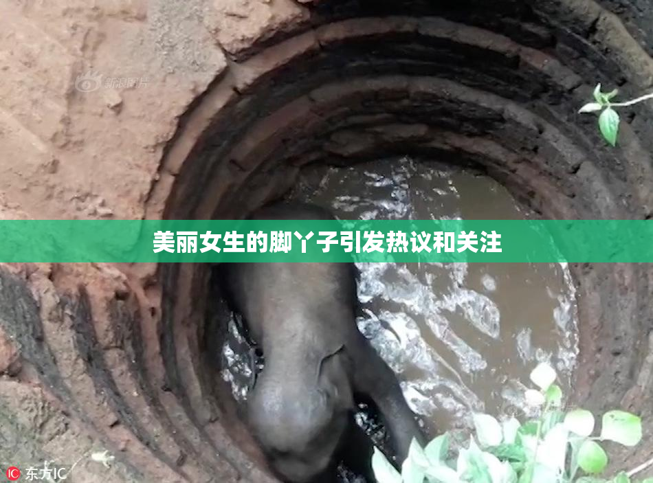 美丽女生的脚丫子引发热议和关注