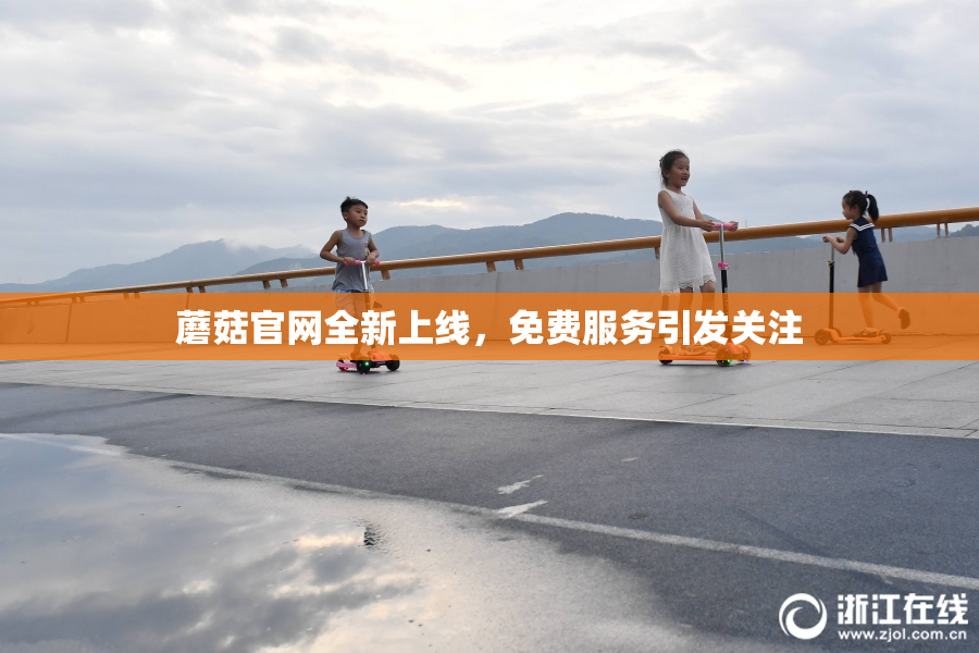 蘑菇官网全新上线，免费服务引发关注