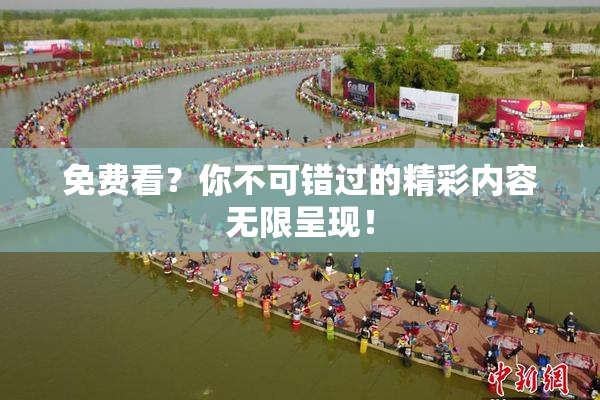 免费看？你不可错过的精彩内容无限呈现！