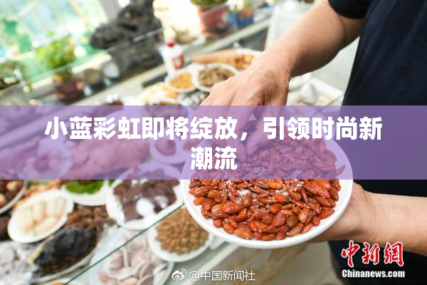 小蓝彩虹即将绽放，引领时尚新潮流