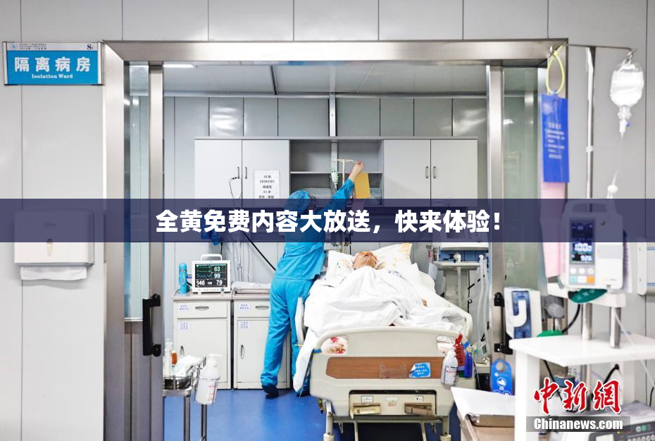 全黄免费内容大放送，快来体验！
