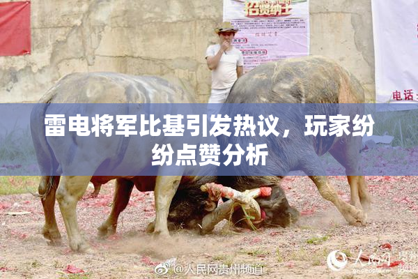 雷电将军比基引发热议，玩家纷纷点赞分析