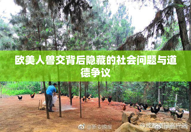 欧美人兽交背后隐藏的社会问题与道德争议