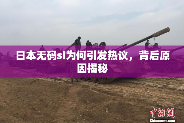 日本无码si为何引发热议，背后原因揭秘