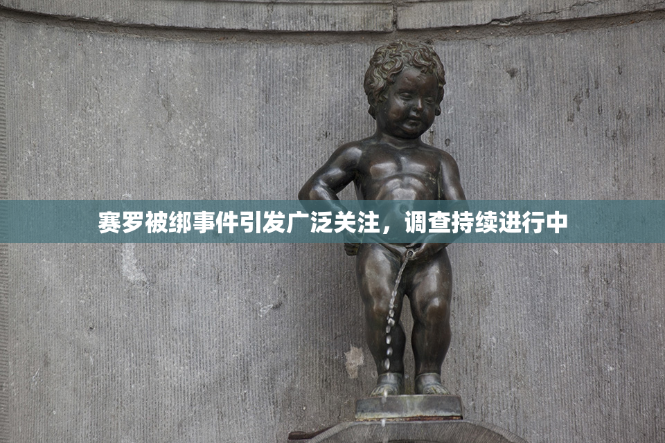赛罗被绑事件引发广泛关注，调查持续进行中