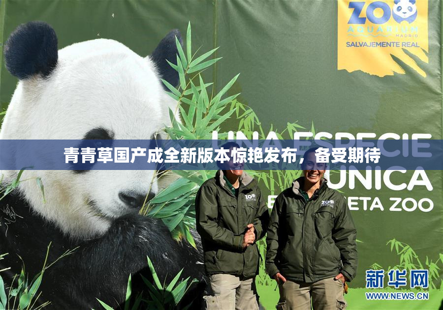 青青草国产成全新版本惊艳发布，备受期待
