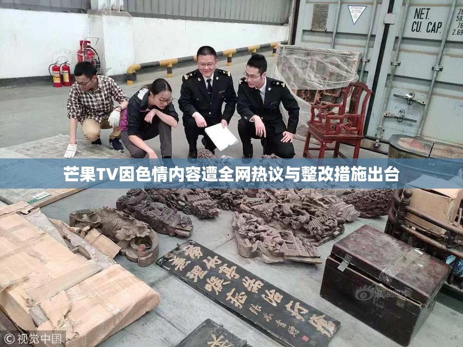 芒果TV因色情内容遭全网热议与整改措施出台