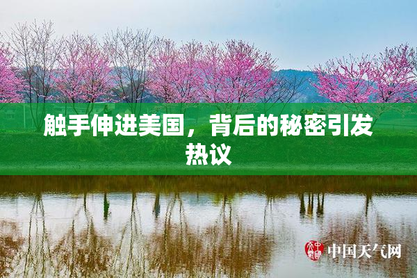 触手伸进美国，背后的秘密引发热议