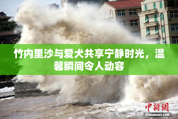 竹内里沙与爱犬共享宁静时光，温馨瞬间令人动容