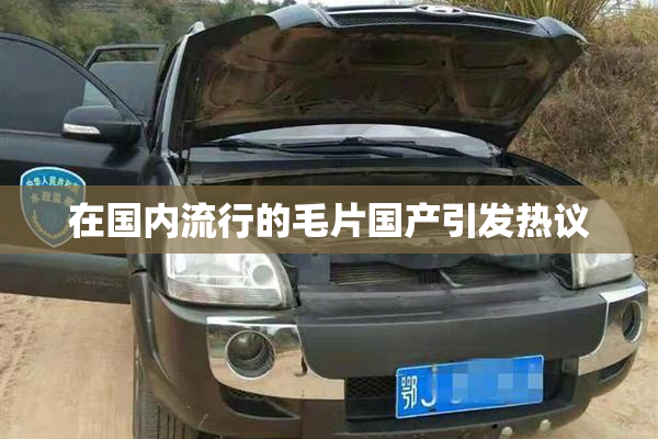 在国内流行的毛片国产引发热议