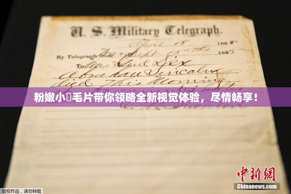 粉嫩小泬毛片带你领略全新视觉体验，尽情畅享！
